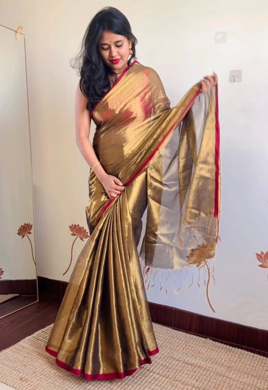 Soft Tissue Saree